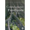 CONSTELACIONES FAMILIARES