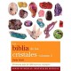 LA BIBLIA DE LOS CRISTALES, 2: Presenta más de 200 nuevos Cristales