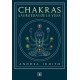 CHAKRAS, LAS RUEDAS DE LA VIDA