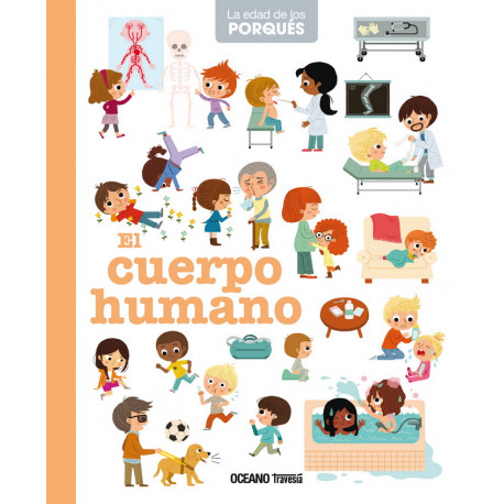 EL CUERPO HUMANO