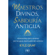 Maestros divinos, sabiduría antigua. Activaciones para conectar con los guías espirituales del universo