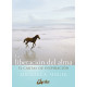 LA LIBERACION DEL ALMA. 52 CARTAS DE INSPIRAC