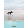 LA LIBERACION DEL ALMA. 52 CARTAS DE INSPIRAC