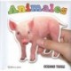 ANIMALES – QUITA Y PON