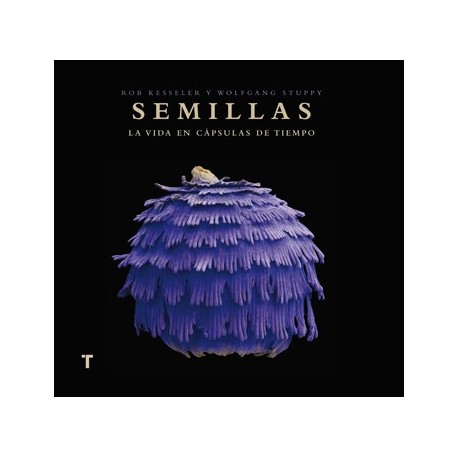 SEMILLAS – LA VIDA EN CAPSULAS DE TIEMPO