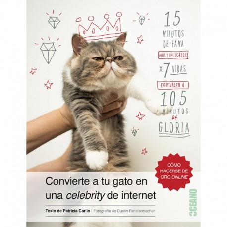 CONVIERTE A TU GATO EN UNA CELEBRITY DE INTERNET